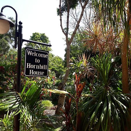לינה וארוחת בוקר Mtubatuba Hornbill House מראה חיצוני תמונה